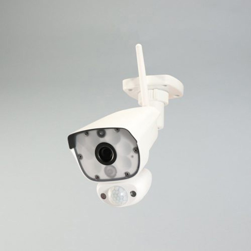 NS-110WR NS-1110WRMS増設用カメラ 1個 NSK(日本セキュリティ) 【通販