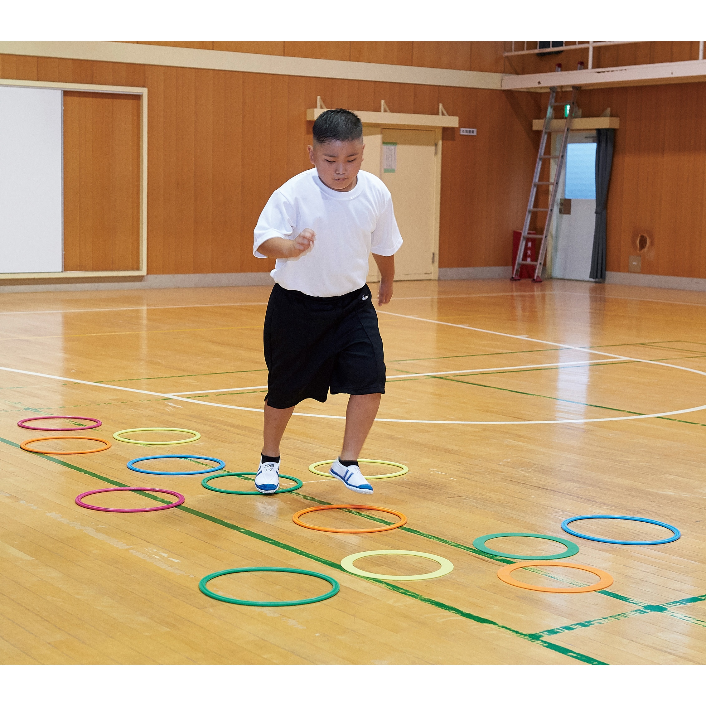 ダンノ(DANNO) バランスステップ(ハンドポンプ付) シルバー D7120 送料無料ダンノ (DANNO) バランスステップ (ハンド