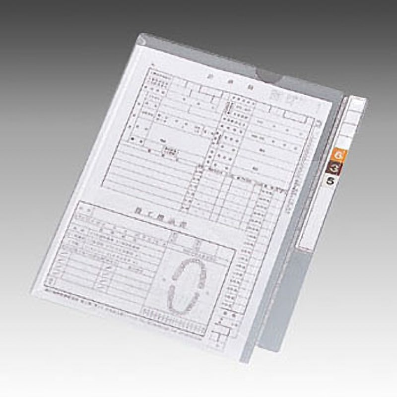 HK2001 カルテフォルダー(フラップ付)シングル＜縦型＞ リヒトラブ