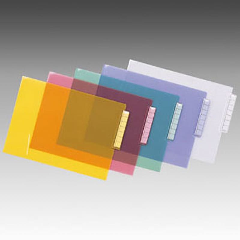 まとめ)リヒトラブ カルテフォルダーシングルポケット A4ヨコ まとめ)リヒトラブ カルテフォルダーシングルポケット A4ヨコ