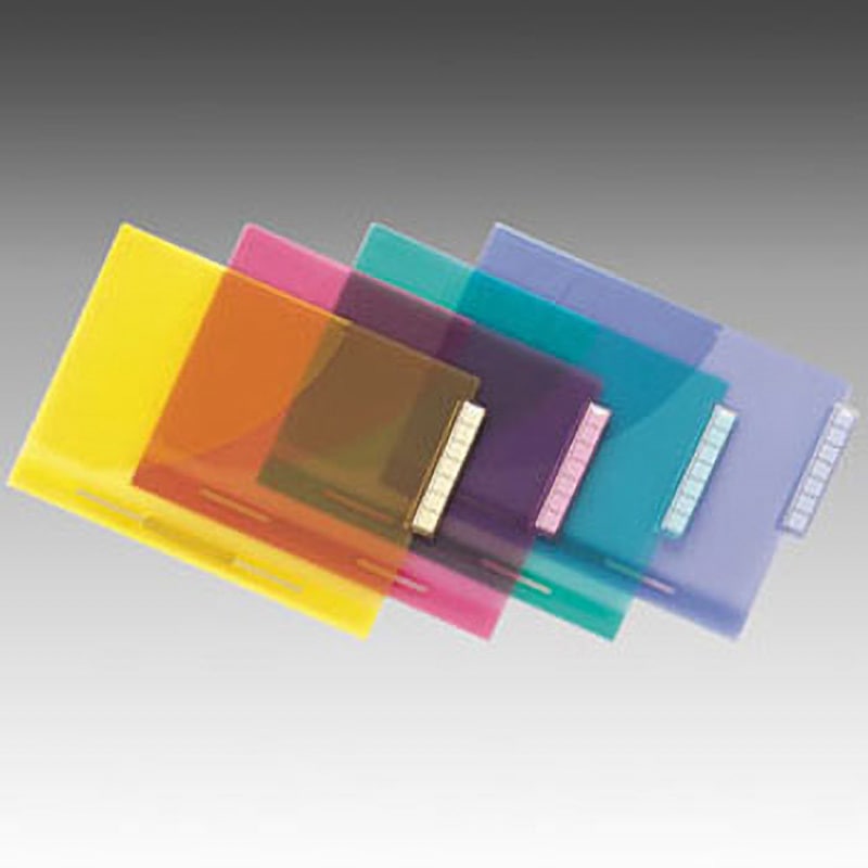 HK732U カラーカルテフォルダー ファスナー付 リヒトラブ サイズA4 1箱