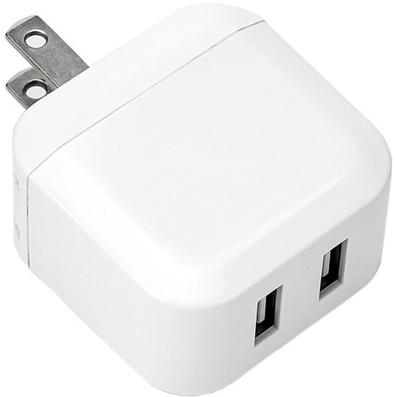 BS-JAC1906-S50 Type-A・2ポートUSB充電アダプター bitstrong 出力DC