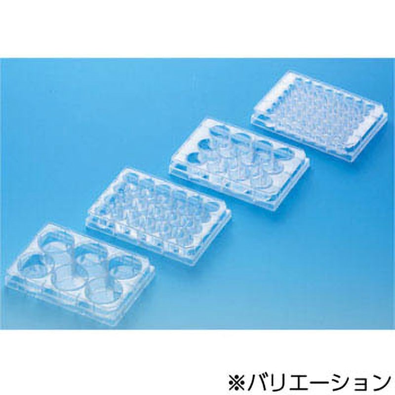 ⊿鈴雪⊿ 353047 マルチウェルプレート 50包 コーニング 平底 ウェル数24