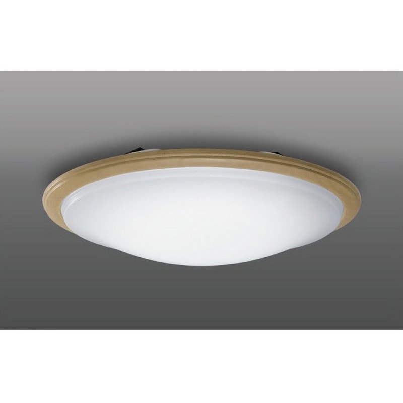 TG20038D LED 小型シーリングライト タキズミ(TAKIZUMI) 昼光色 Ra82 AC100V 直径404mm  TG20038D