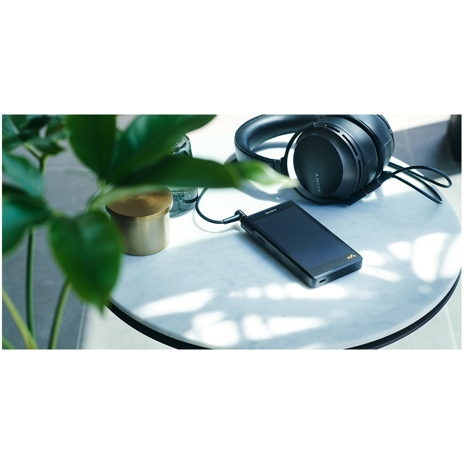 NW-WM1AM2 デジタルオーディオプレイヤー 1個 SONY 【通販モノタロウ】