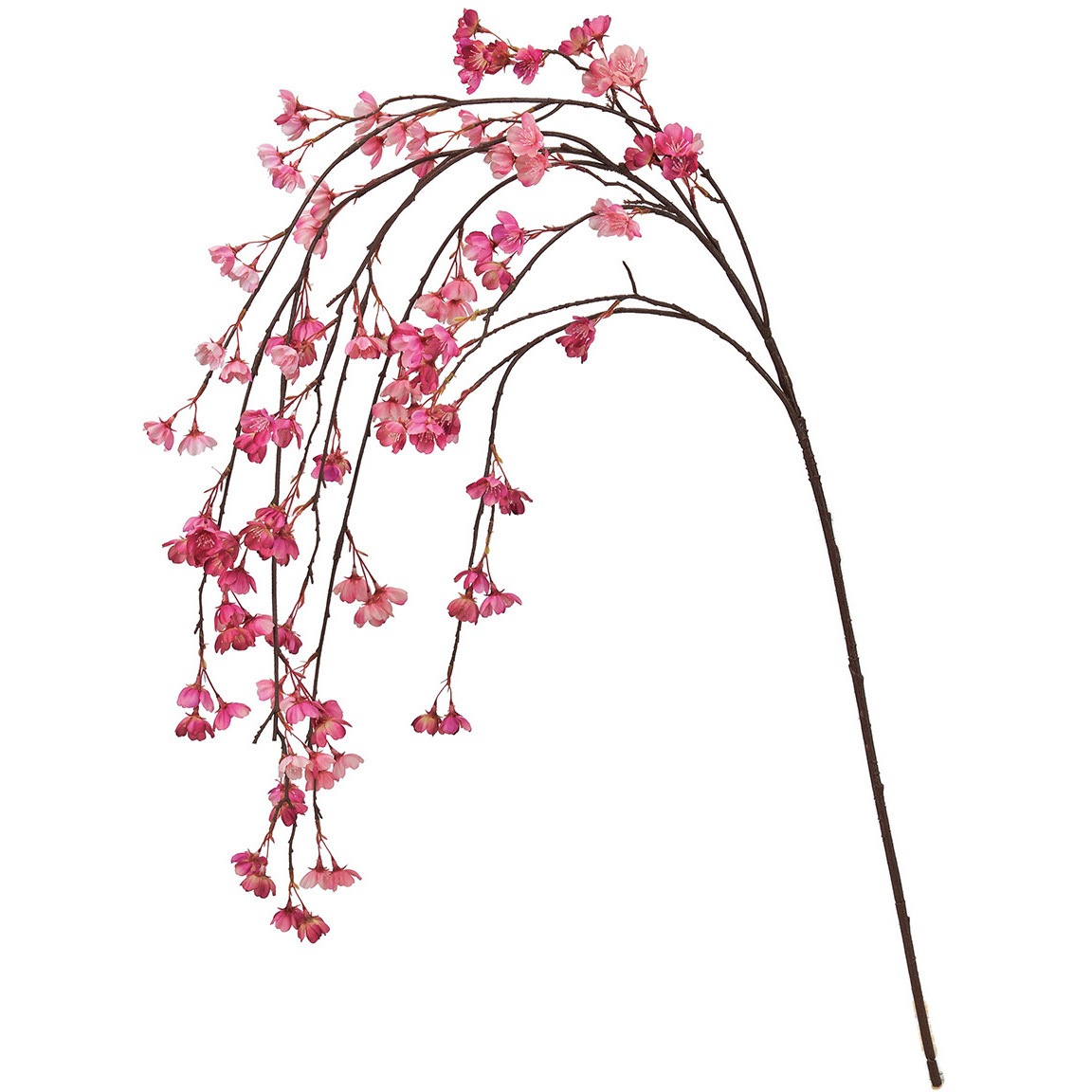 FM300393-042 みちる桜バイン 1本 MAGIQ(東京堂) 【通販モノタロウ】