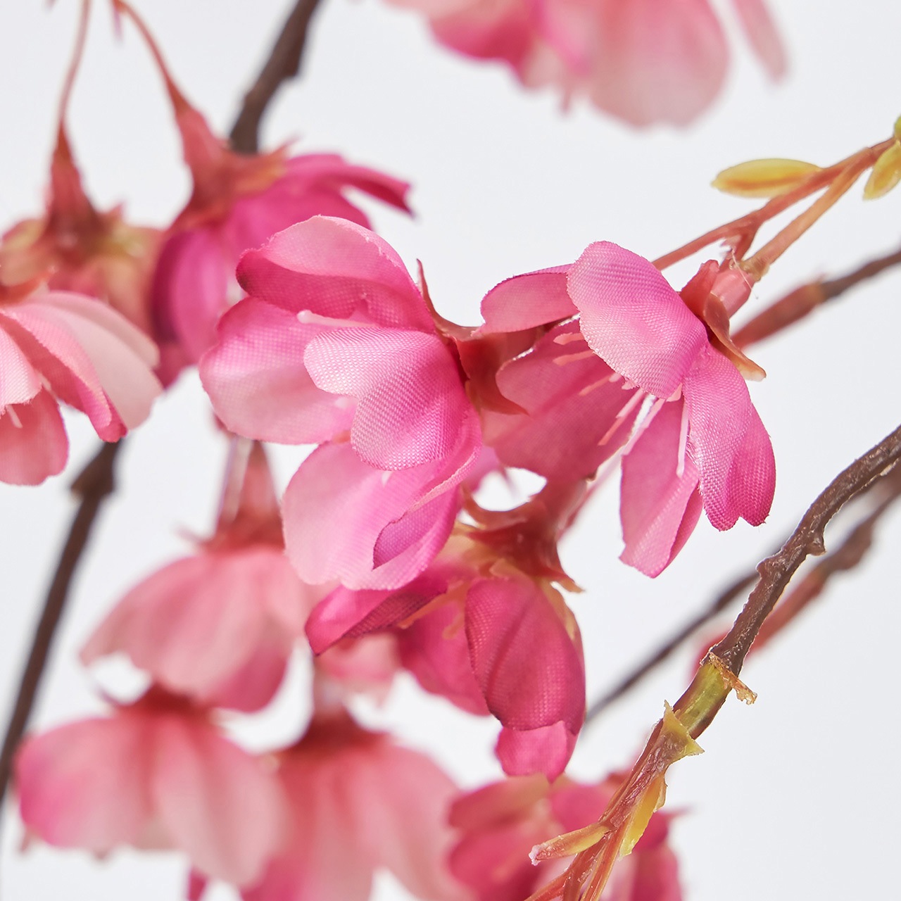 FM300393-042 みちる桜バイン 1本 MAGIQ(東京堂) 【通販モノタロウ】