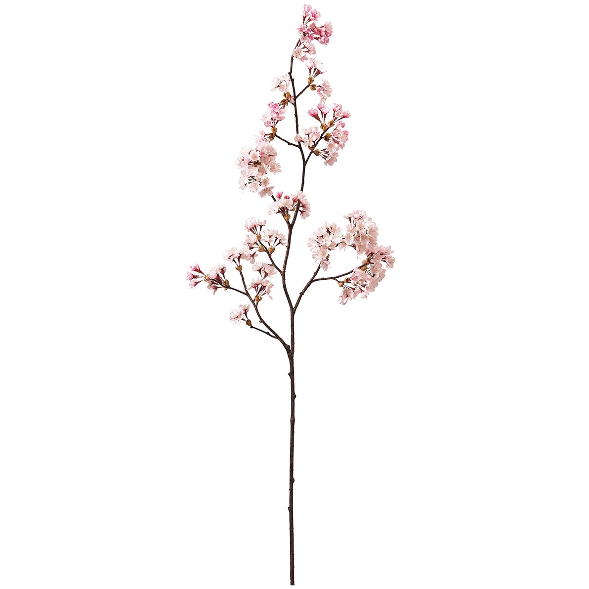 FM300396 ときわ桜 1本 MAGIQ(東京堂) 【通販モノタロウ】 7,308円