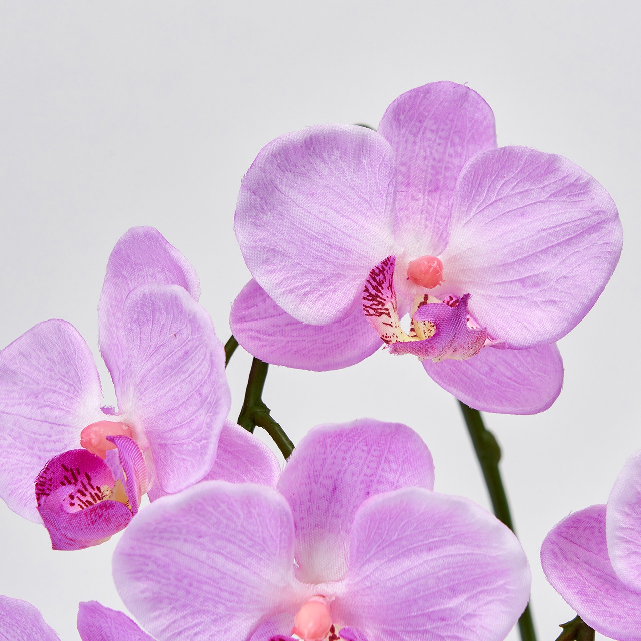 光触媒　人工観葉植物　フェイクグリーン　胡蝶蘭　ピュアオーキッド　ピンク 光触媒 人工観葉植物 フェイクグリーン 胡蝶蘭 ピュアオーキッド