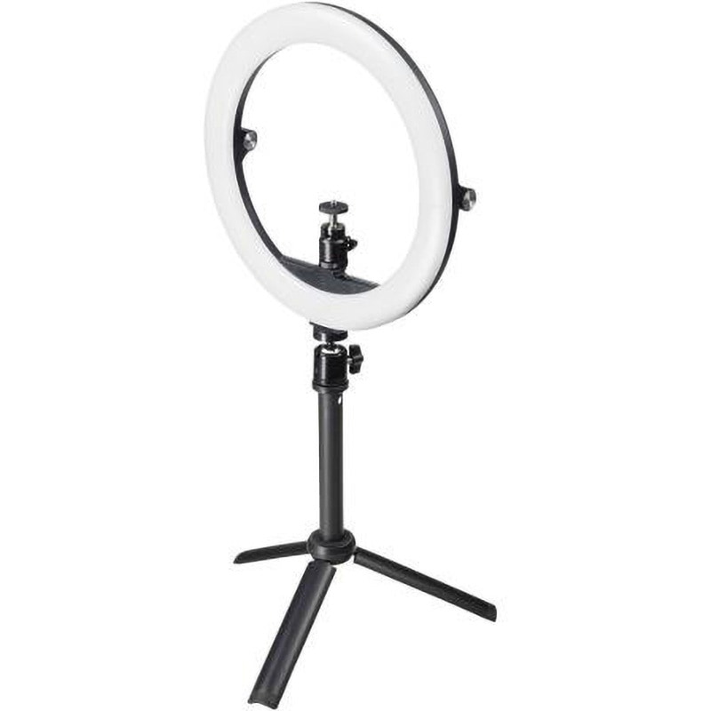 EA761XL-17 LED照明灯 (スタンド付/WEBカメラ用) 1個 エスコ 【通販モノタロウ】