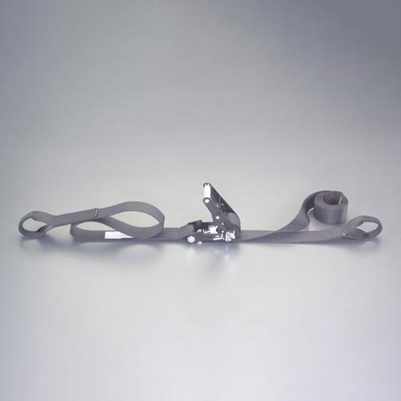 EA982SH-28 764kg ベルト荷締機(両端アイ型) 1個 エスコ 【通販モノタロウ】