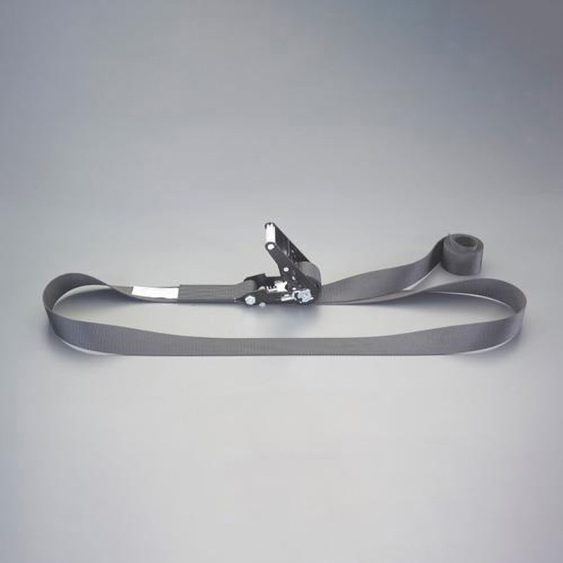 EA982SJ-25 1520kg ベルト荷締機(エンドレス) 1個 エスコ 【通販モノタロウ】