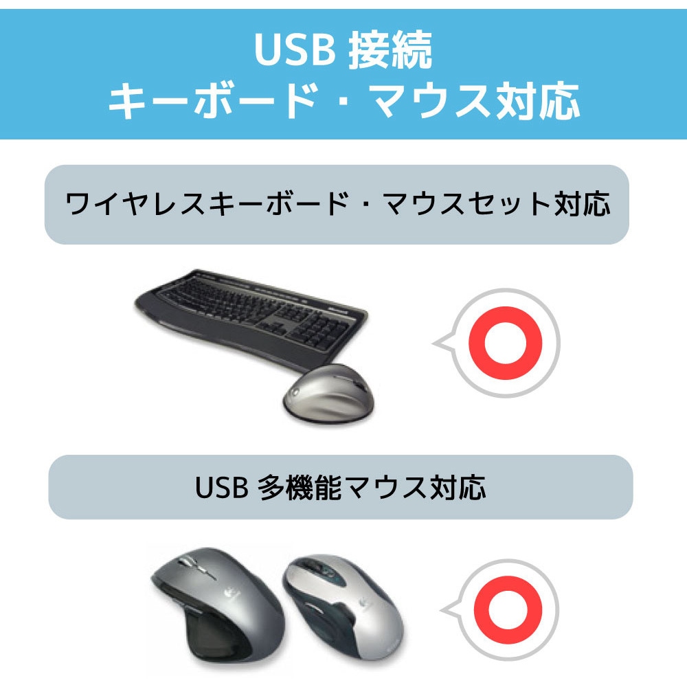 RS-430UDA DVIパソコン切替器(4台用) 1個 ラトックシステム