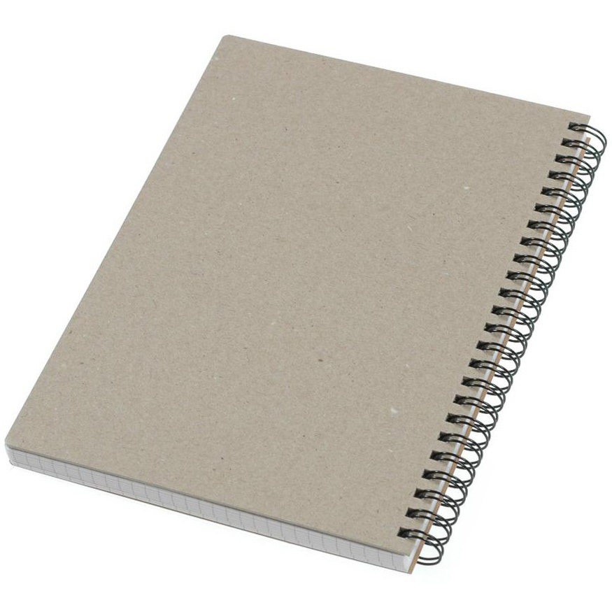 BASIS-26-03 リングノート セクション 1冊(100枚) エトランジェ・ディ