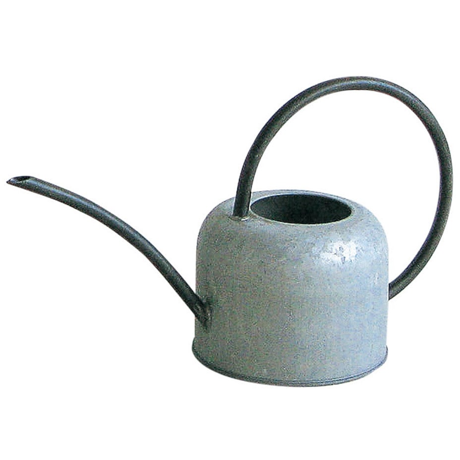 HUY805 NORMANDIE アイアンハンドルブリキジョーロ 1個 スパイス