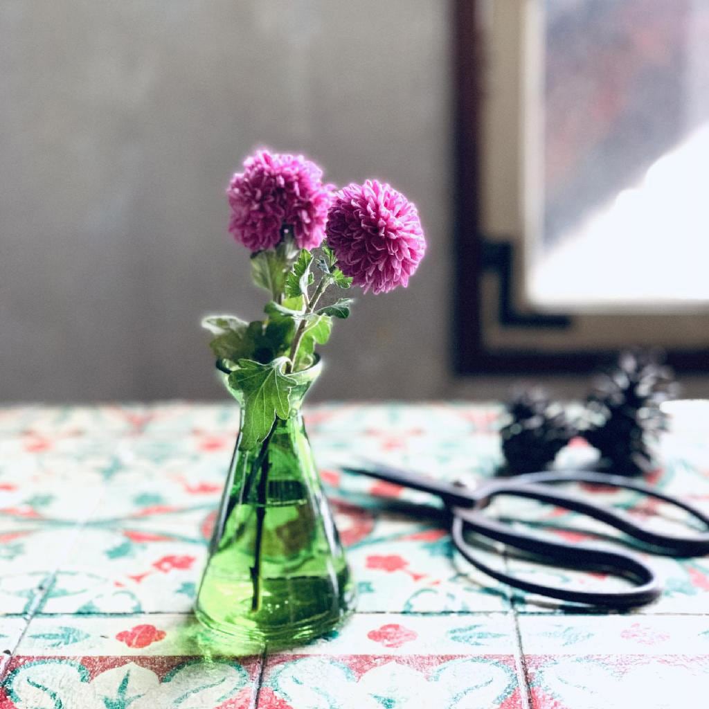 NALG5010GR タイニーガラスフラワーベース No．01 1個 スパイス 【通販