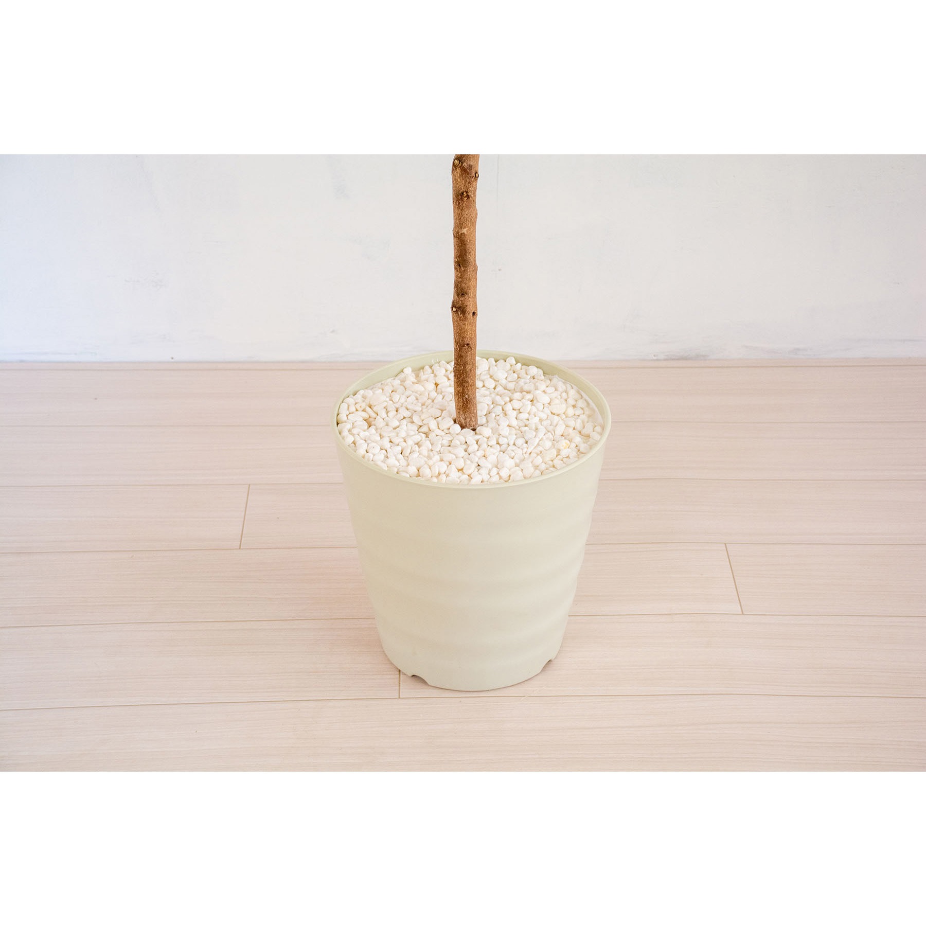 GOW-469 人工樹木/人工観葉植物 シラカシ 岩や 幅75cm GOW-469 【通販