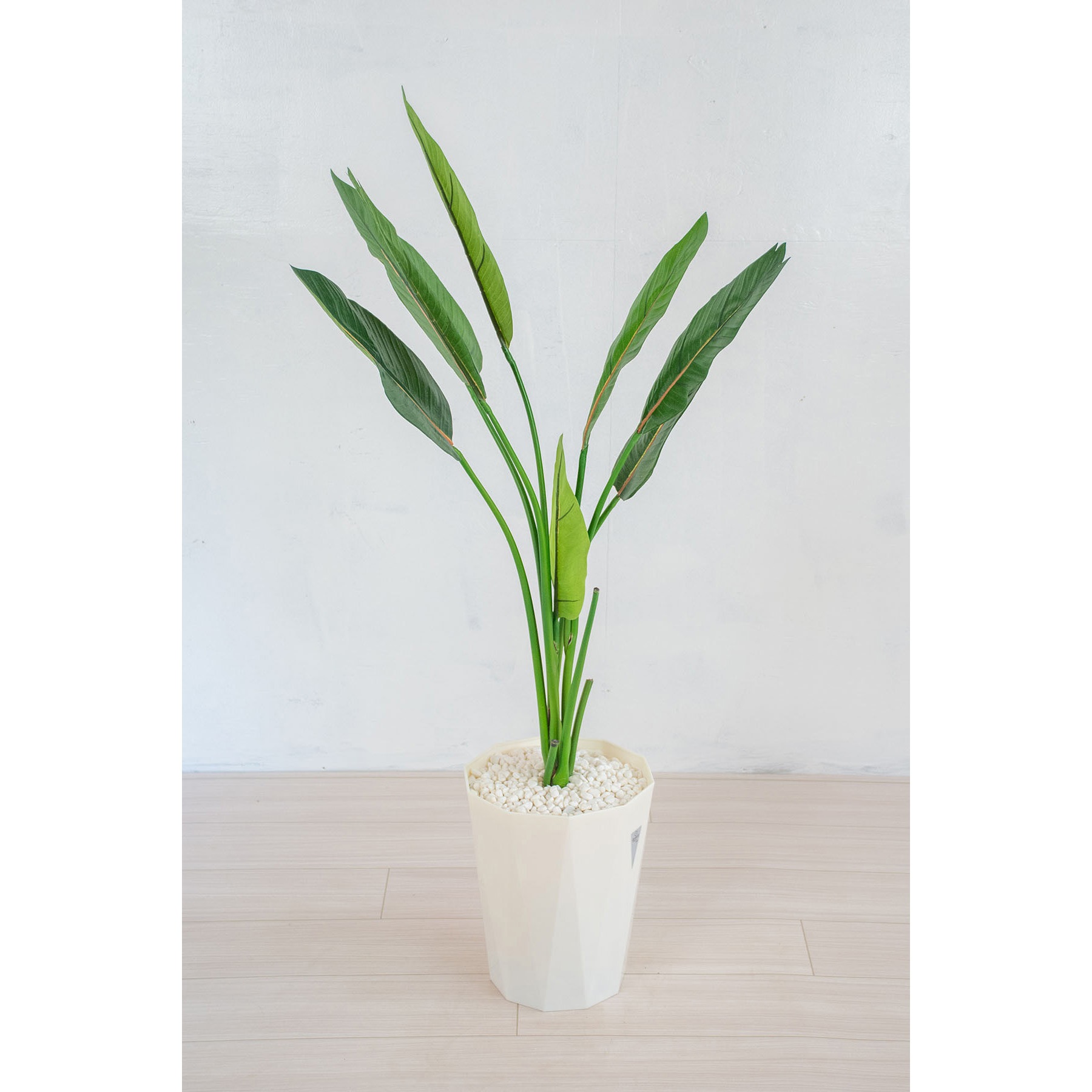 GOW-471 人工樹木/人工観葉植物 ストレチア 1個 岩や 【通販モノタロウ】
