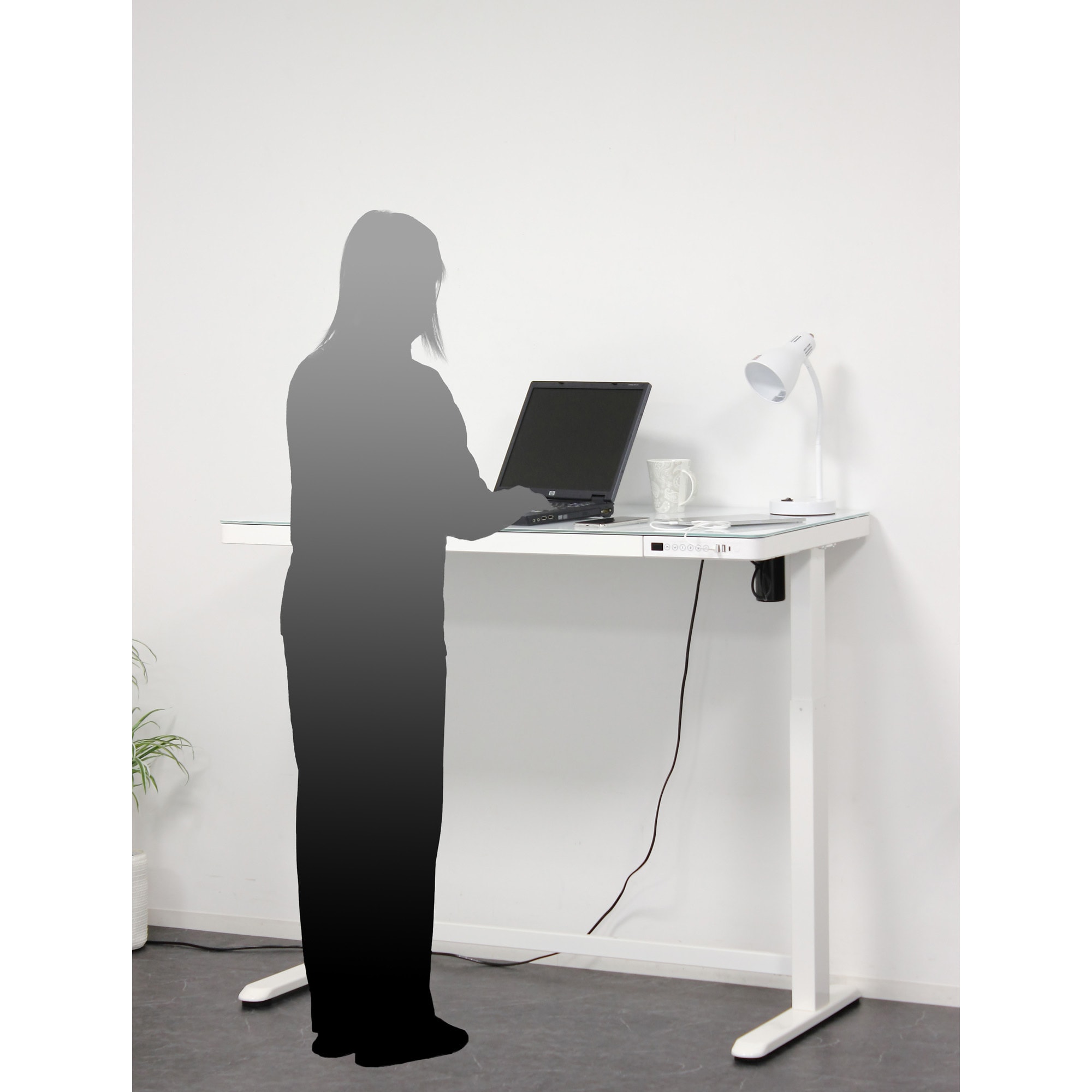 17051 電動昇降デスク メモリー機能付 クロシオ 電源AC100-240 (50