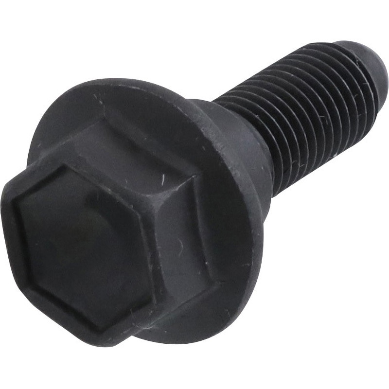 黒いボルト 5個セット PCパーツ用 黒いボルト 5個セット PCパーツ用 黒いボルト 5個セット PCパーツ用