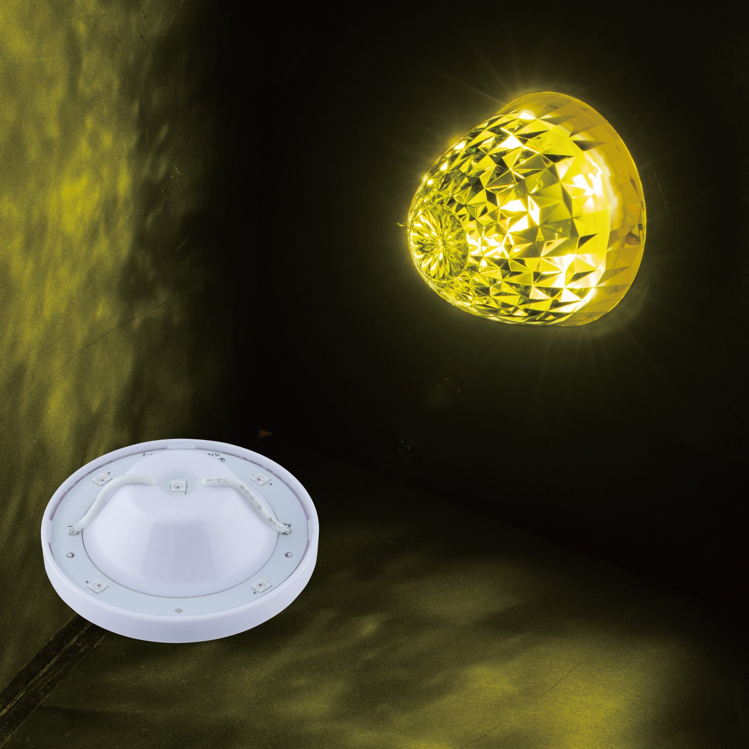 ジェットイノウエ　LEDハイパワーバスマーカーランプユニット ホワイト 14個 Amazon.co.jp: ジェット・イノウエ(Jet Inoue) LED ハイパワー