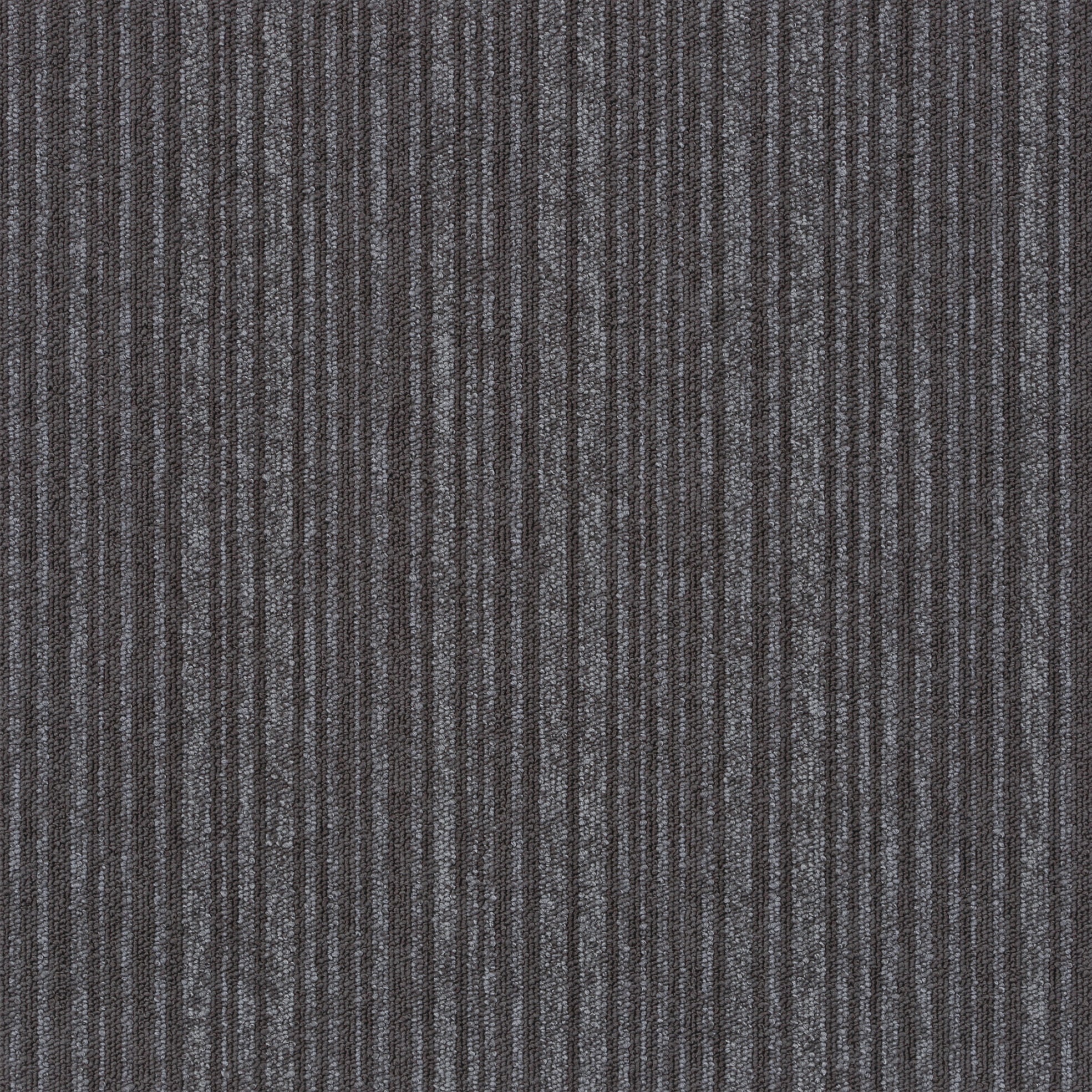 TES-1201 SQPRO ニューテック ストライプ シンコール 寸法50×50cm 1箱(20枚) TES-1201