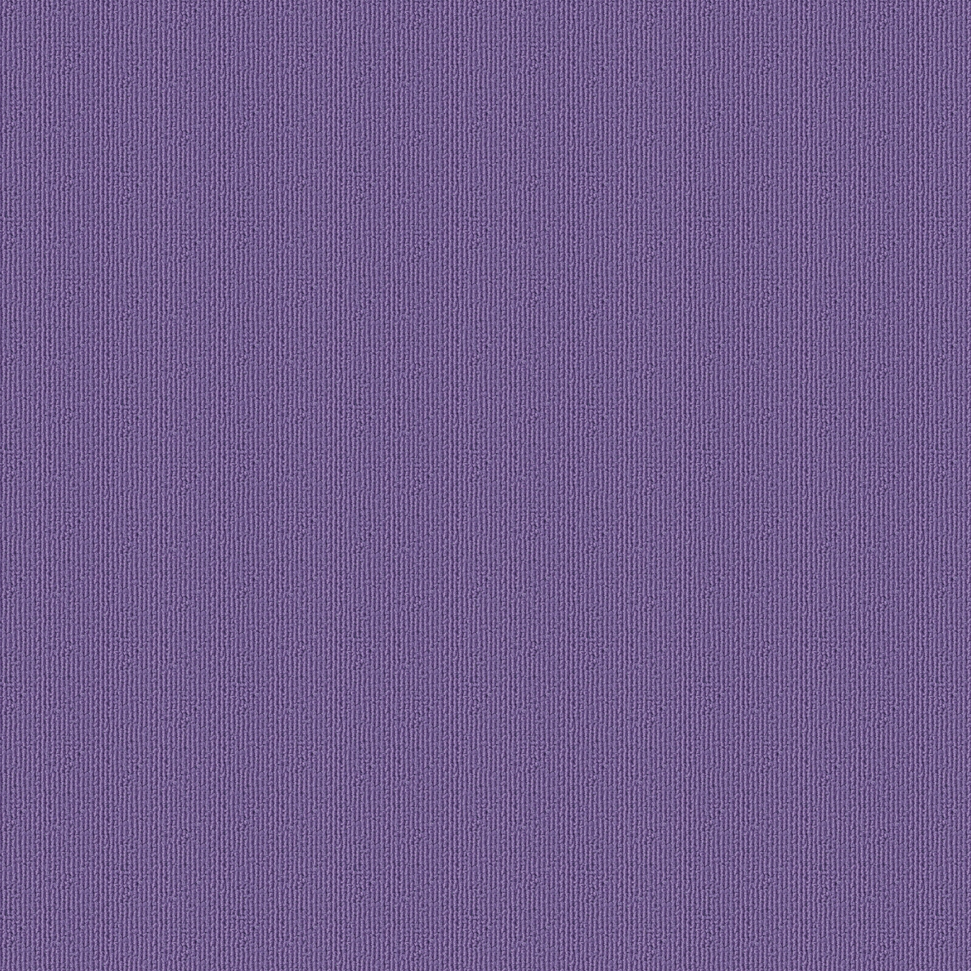 PAS-221 SQPRO パルコ ソリッド シンコール ジューシーグレープ色 寸法50×50cm 1箱(16枚) PAS-221