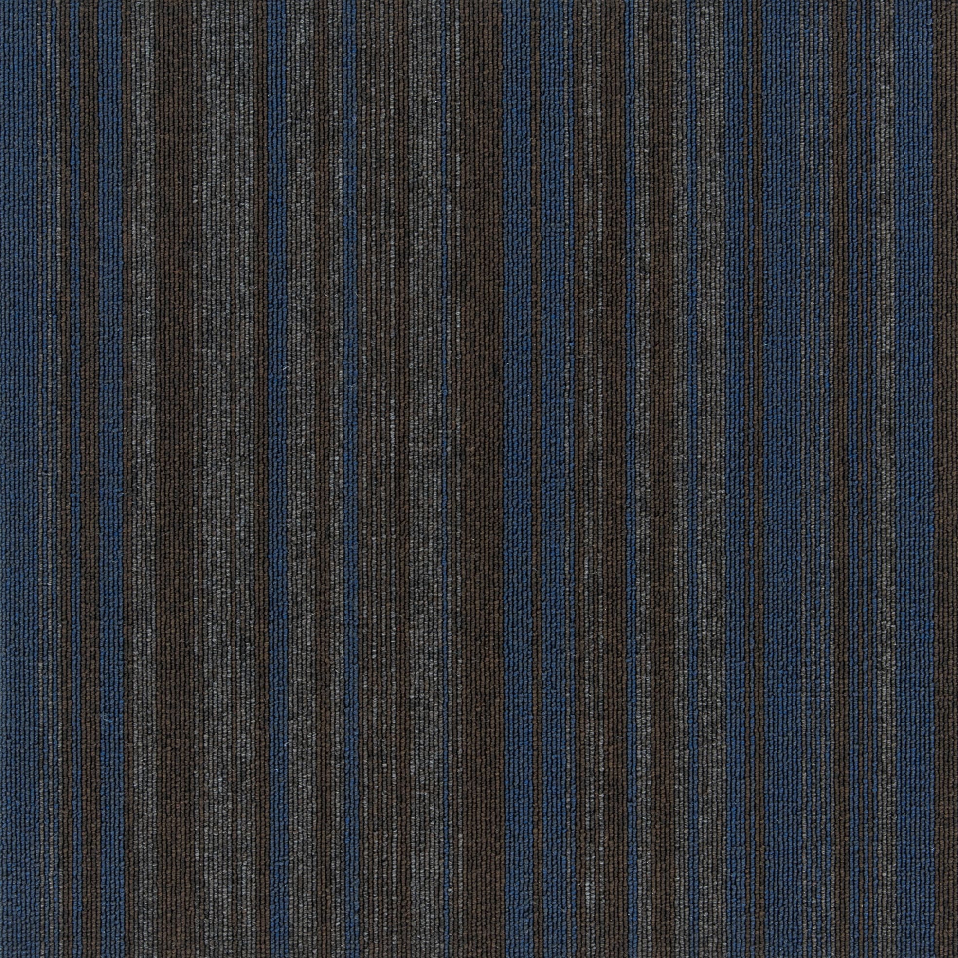 PAM-391 SQPRO パルコ MS シンコール ネイビーブラウン色 寸法50×50cm 1箱(16枚) PAM-391