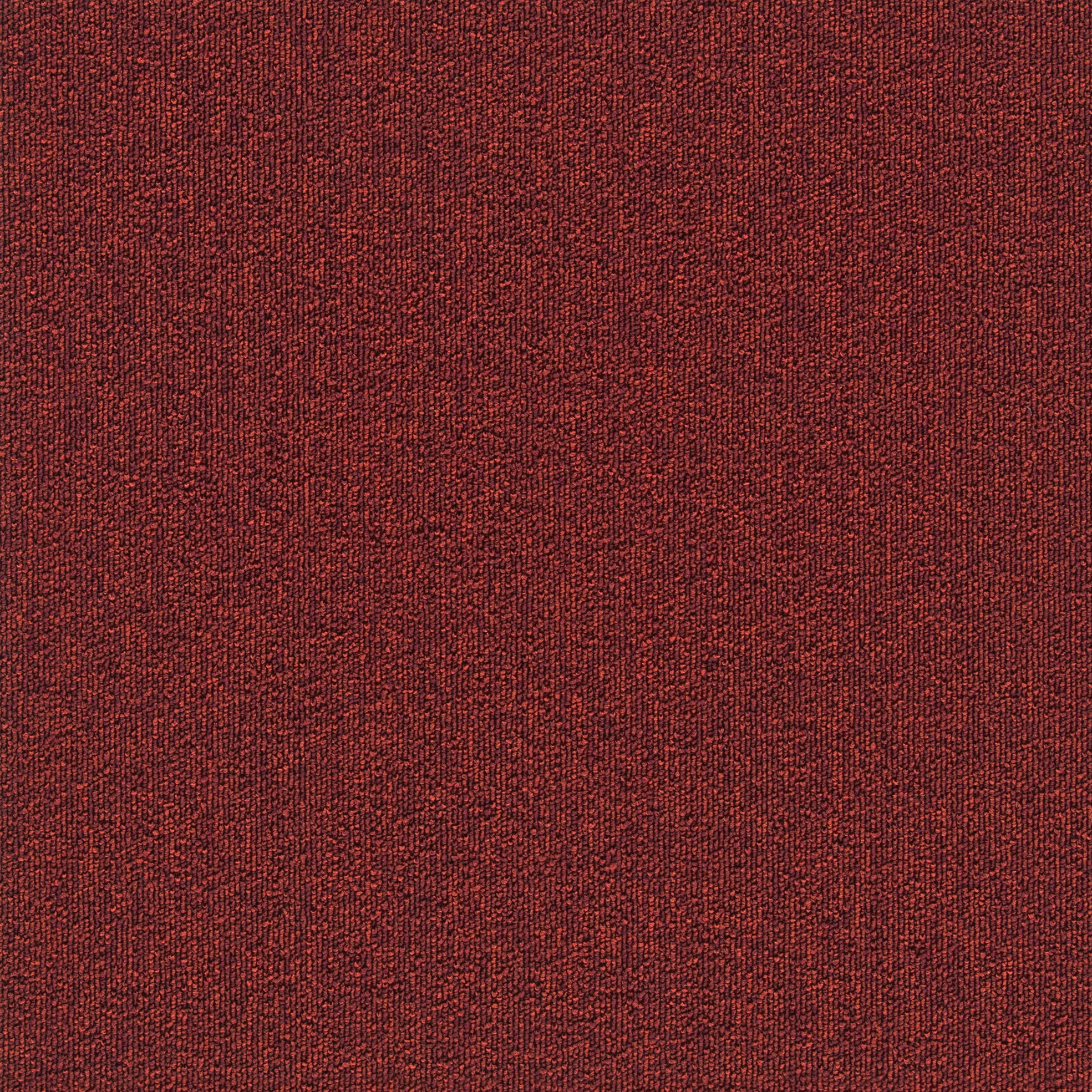 TG-3803 TG-3000A プレーン シンコール 寸法50×50cm 1箱(20枚) TG-3803