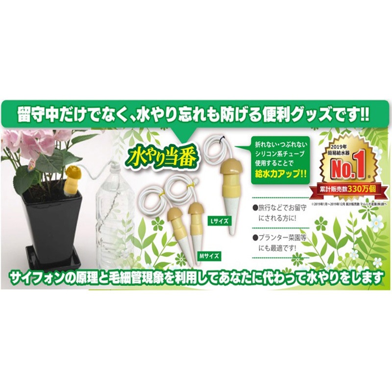 2402 水やり当番 ダリヤ(マルハチ産業) サイズM 1箱(8個) 【通販
