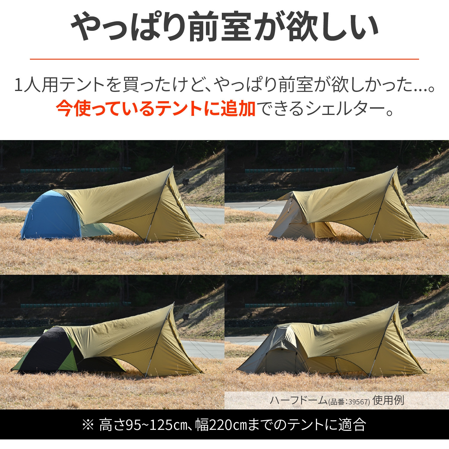 デイトナ マエヒロシェルター サファリ