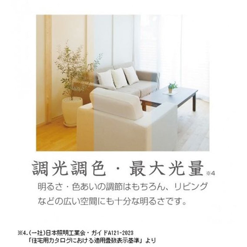 シーニュ Roland ラメニット　新品タグ付き シーニュ Roland ラメニット 新品タグ付き