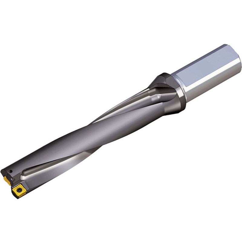 サンドビック コロカット1ー2 チップ 【C】 N123H2-0400-RM 4325