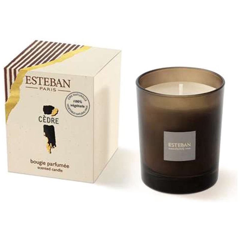 ESTEBAN(エステバン)キャンドル 1個 日本香堂 【通販モノタロウ】