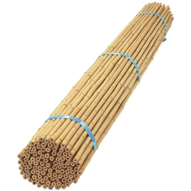 庭園用白竹 60本 タカショー さらし竹色