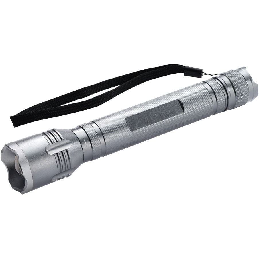 アニサキス検知用ハンディライト 1個 遠藤商事 【通販モノタロウ】