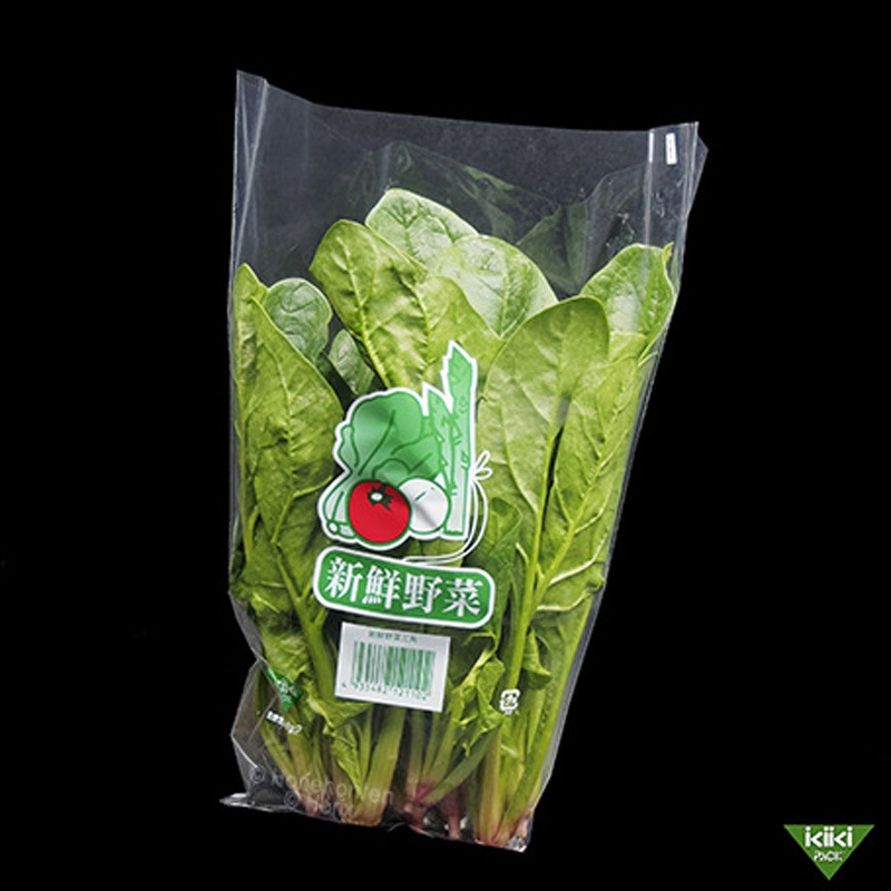 4935482121102 生き生き 名入り プラマーク入 ホリックス 穴数2穴