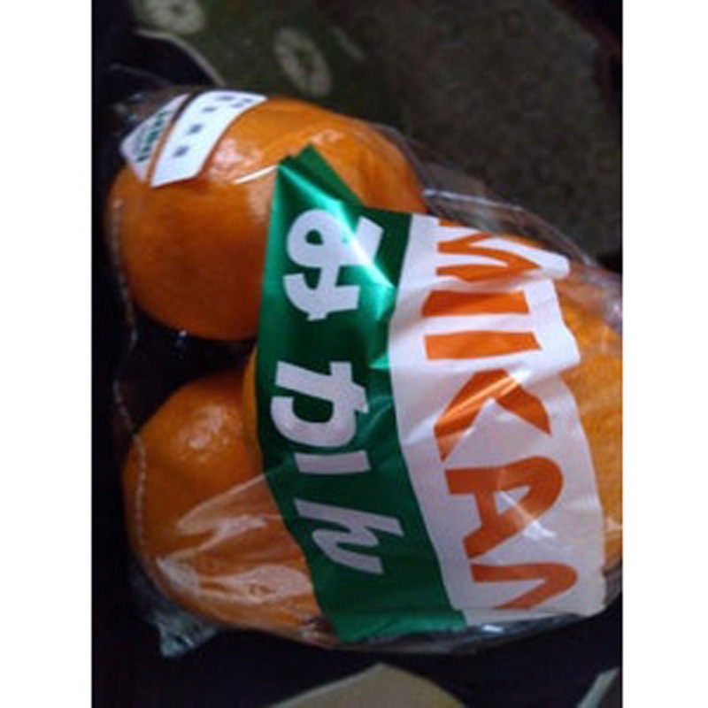 4935482122130 生き生き 名入り プラマーク入 ホリックス 穴数2穴