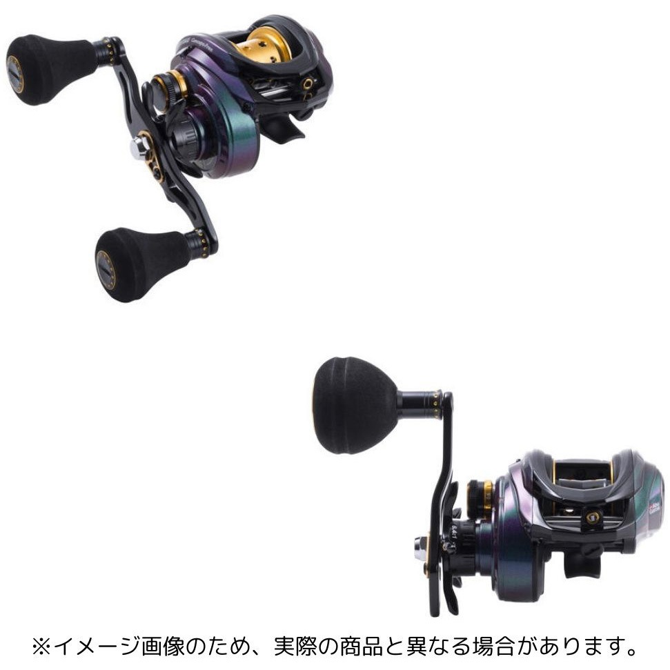 L(左) SALTY STAGE CONCEPT-FREE AbuGarcia(アブガルシア) 自重220g