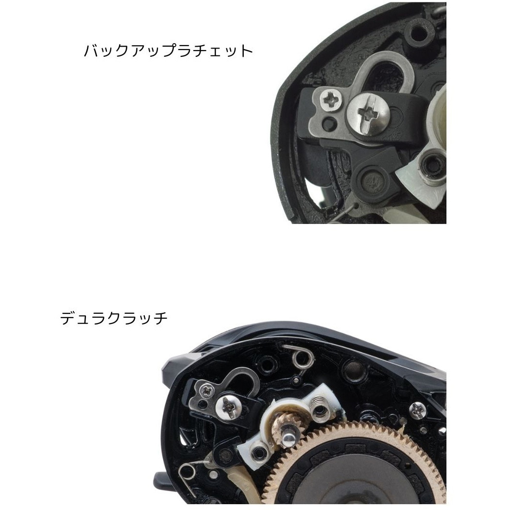 L(左) SALTY STAGE CONCEPT-FREE AbuGarcia(アブガルシア) 自重220g