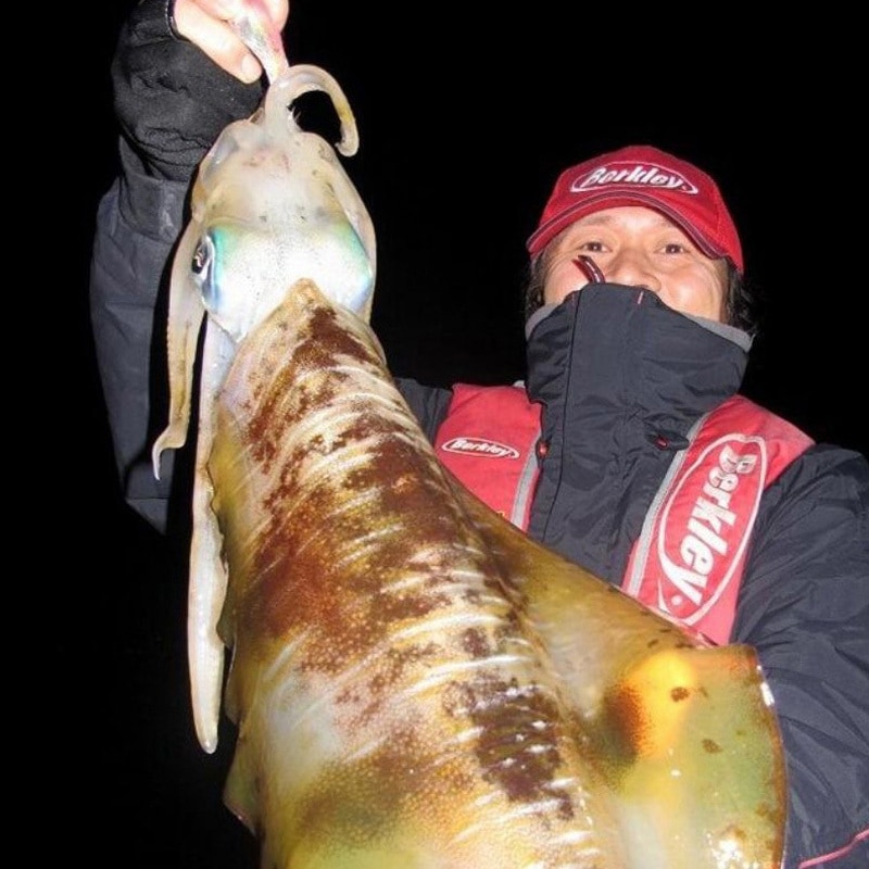 STES-882ML-SJ-KR Salty Style Eging (ソルティースタイル エギング