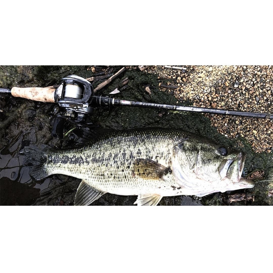 BBC-702H+ III BASS BEAT III (バスビート) AbuGarcia(アブ