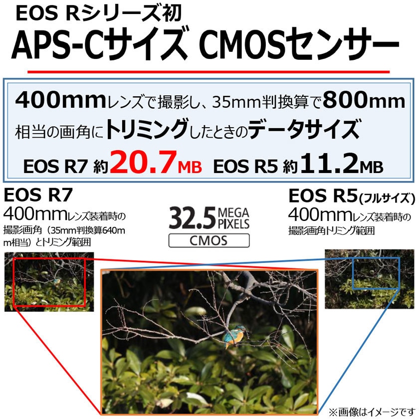 EOS R7・RF-S18-150 IS STM レンズキット ミラーレスカメラ EOS EOS R7・RF-S18-150 IS STM レンズキット ミラーレスカメラ EOS