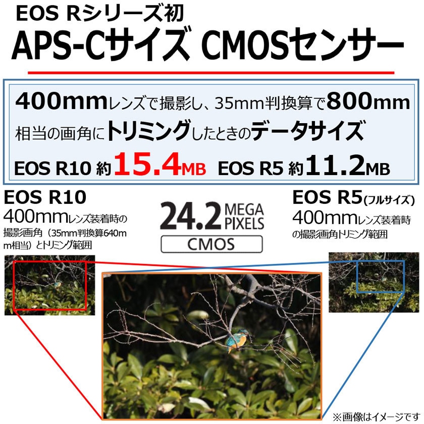 EOS R10・RF-S18-150 IS STM レンズキット ミラーレスカメラ EOS EOS R10・RF-S18-150 IS STM レンズキット ミラーレスカメラ EOS