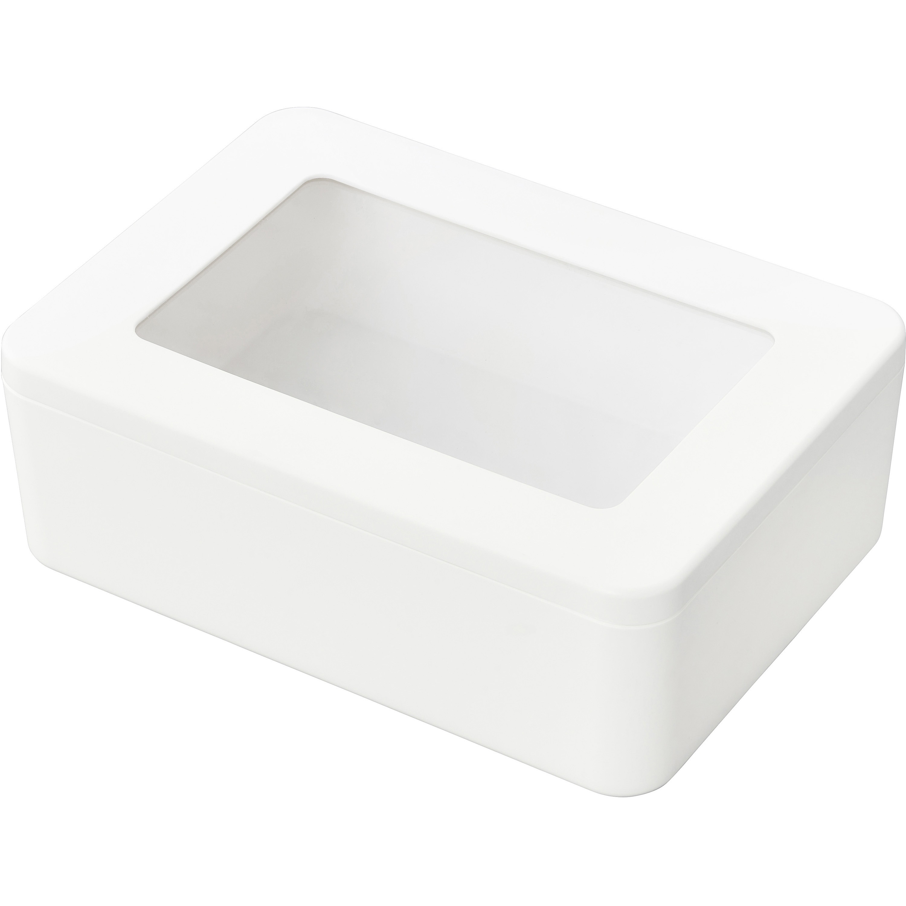 FMC-L フタ窓付き収納ケース アイリスオーヤマ 寸法185×260×90mm FMC-L