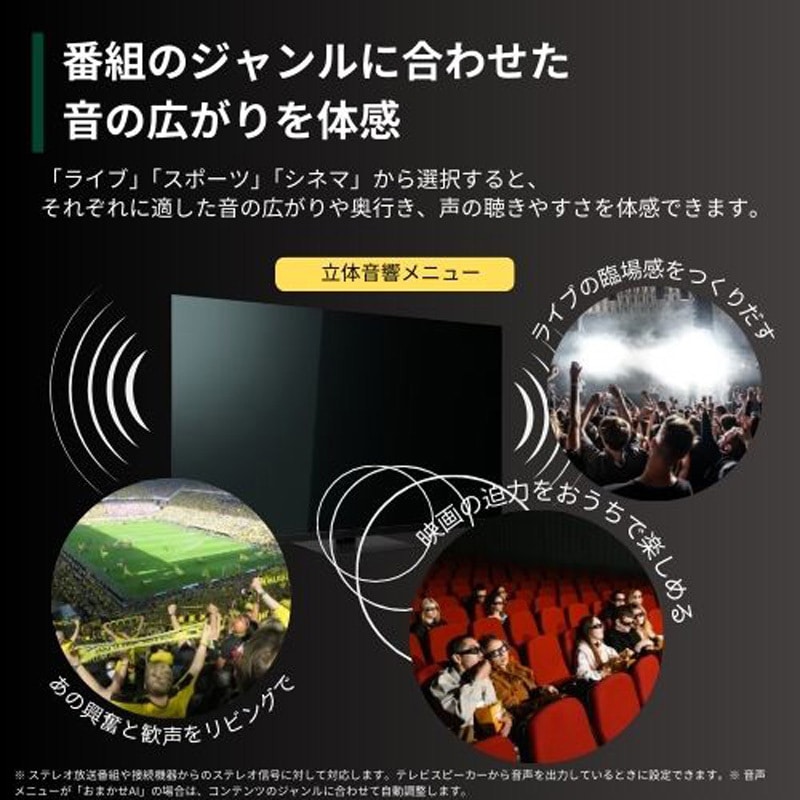 65X9900N 4K有機ELテレビ タイムシフトマシン搭載 X9900Nシリーズ