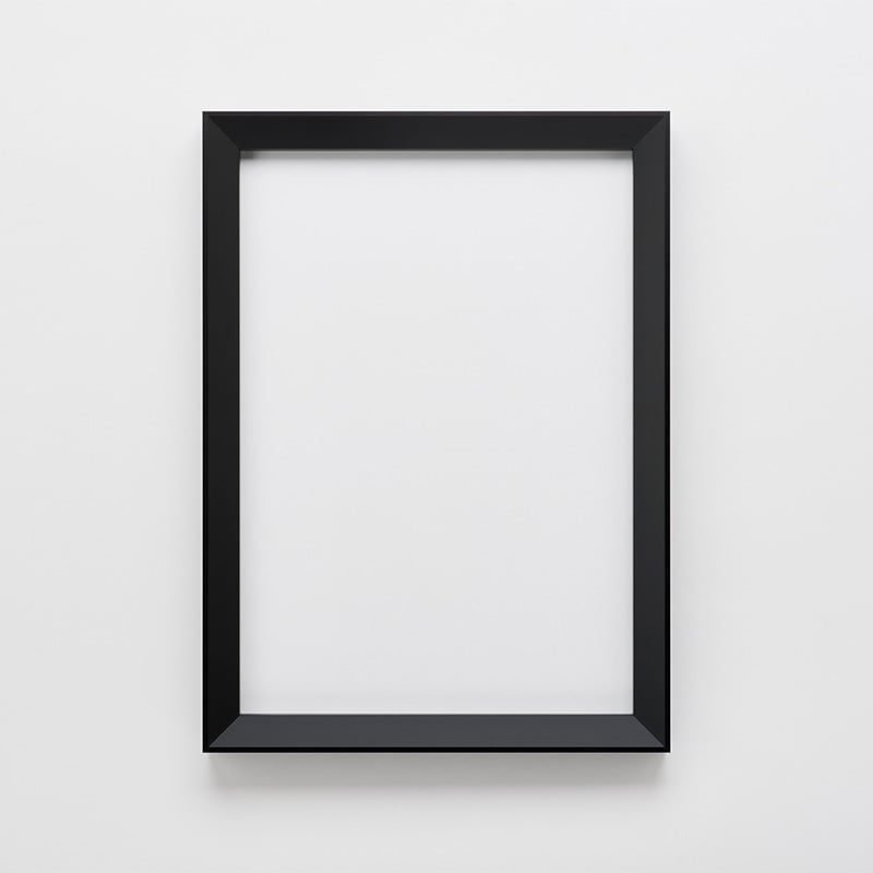 172693 デッサン額 クレーツ ブラック 屋内用 1枚 アルナ 【通販モノタロウ】