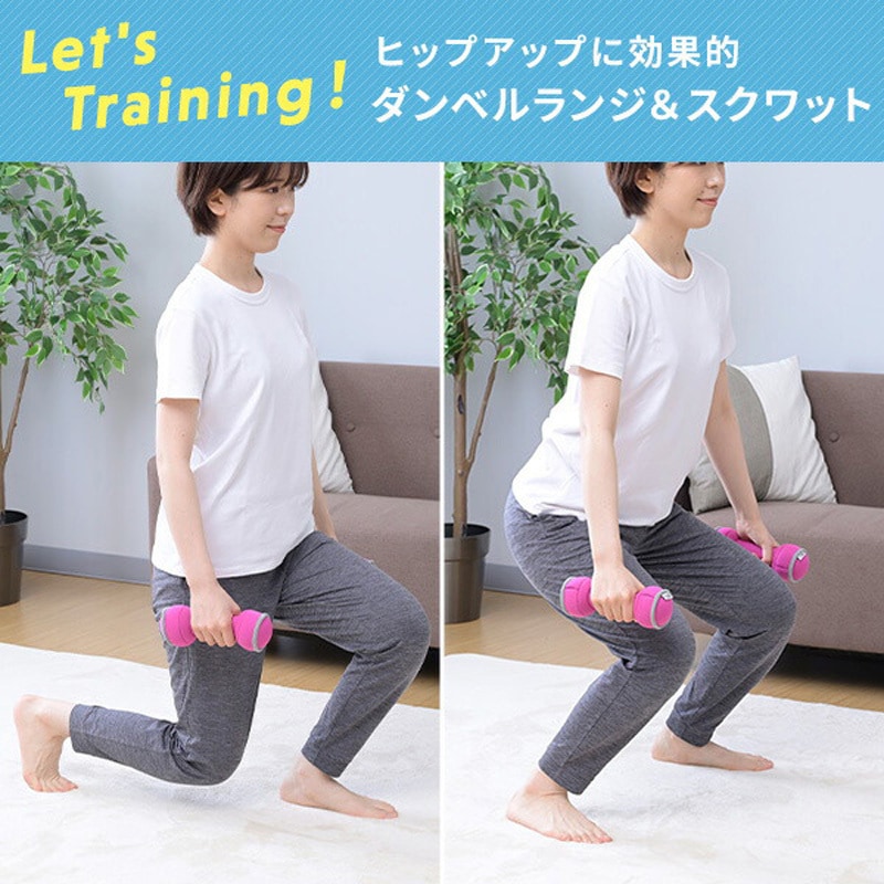 SFTD-1.0 ダンベル 砂 コンパクト 落としても安心 YAMAZEN(山善