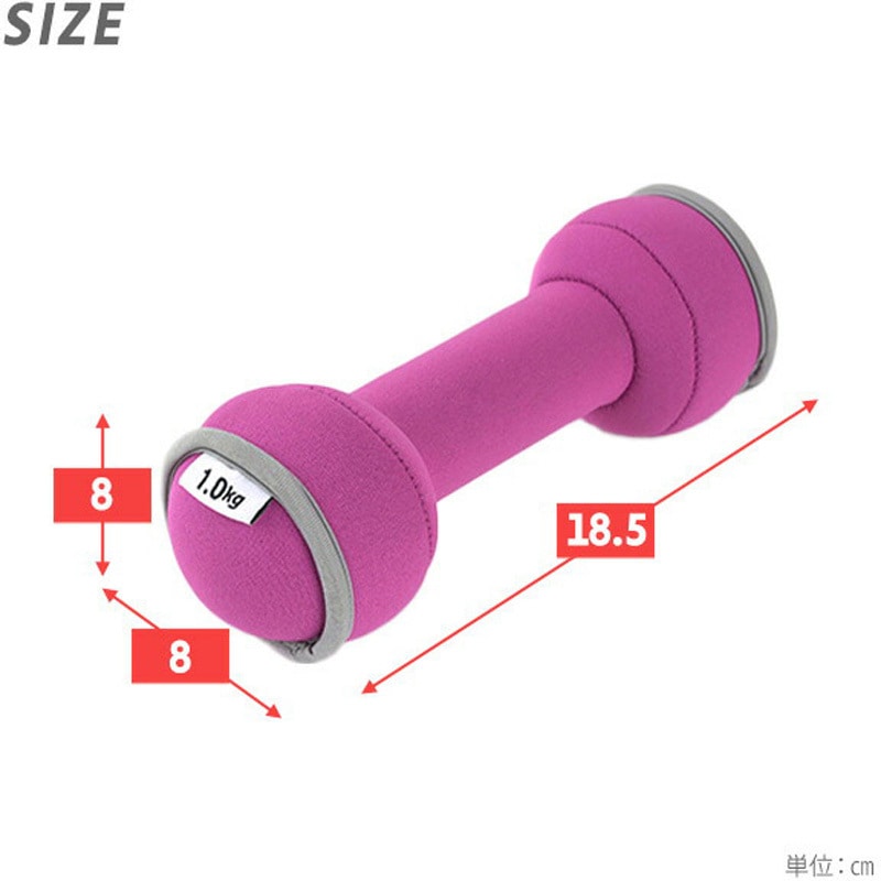 SFTD-1.0 ダンベル 砂 コンパクト 落としても安心 YAMAZEN(山善
