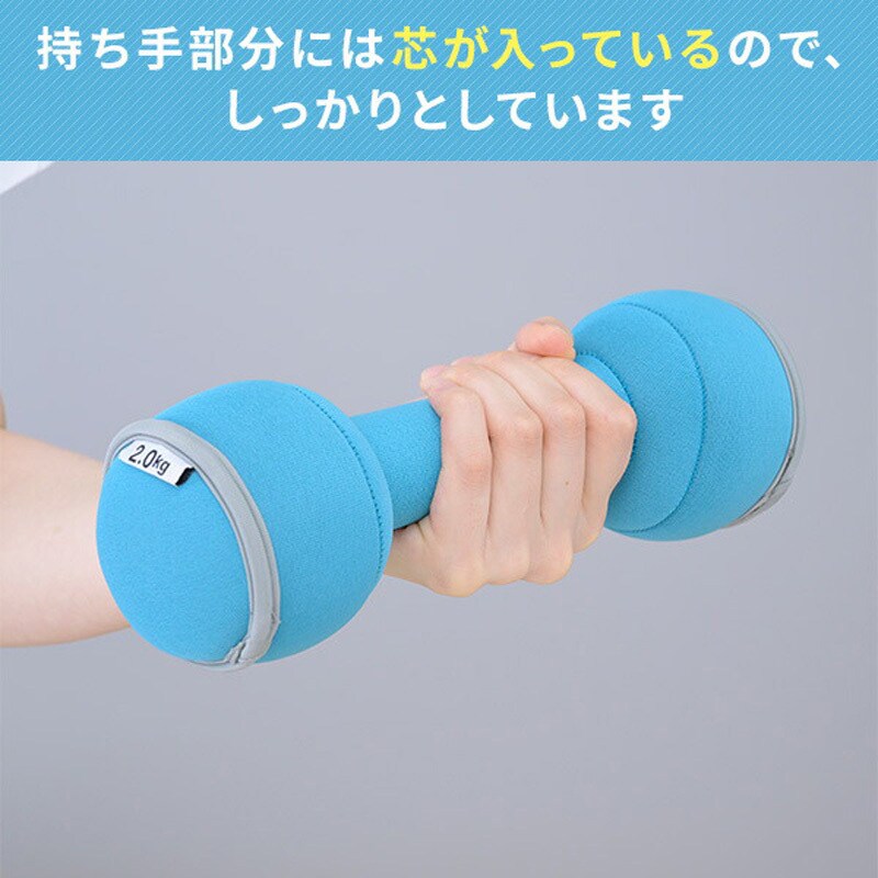 SFTD-2.0 ダンベル 砂 コンパクト 落としても安心 YAMAZEN(山善